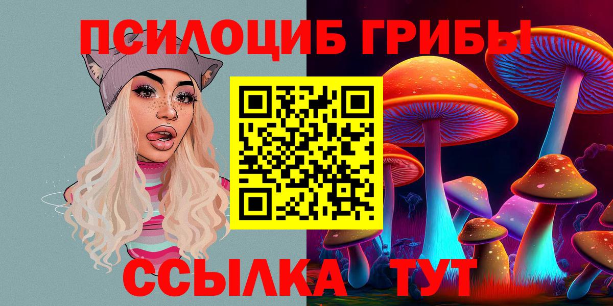 Псилоцибиновые грибы мицелий Армавир