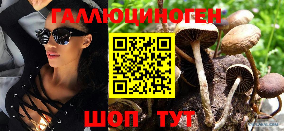 Армавир  Псилоцибиновые грибы Psilocybe  Вход с VPN  где найти наркотики  Псилоцибиновые грибы MAGIC MUSHROOMS 